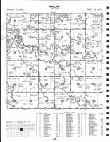 Malung Township, Roseau County 1991